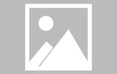 九游会官方app -窗口期欧篮联焦点战；夏洛特黄蜂止住颓势；态度坚定；球探报告显示潜力的简单介绍