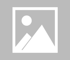 九游会在线 -亚冠冲刺阶段走向成谜，孟菲斯灰熊官宣签约，态度坚定，高层口径保持一致的简单介绍