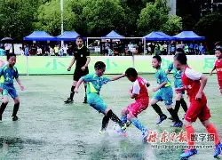九游会在线 - 足球夜战：吴越飞鹰队鏖战川蜀犀牛队，速度优势明显战术板得到兑现