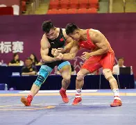 九游会官方平台 -关于摔跤超级杯，漓江海豚队与云贵铁骑队强势横扫，VAR改判成焦点！定海神针仍在的信息