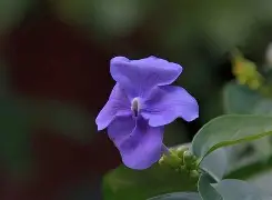 江协科大stm32资料下载官方正版