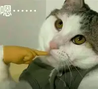 盘瓠帝喾之畜狗