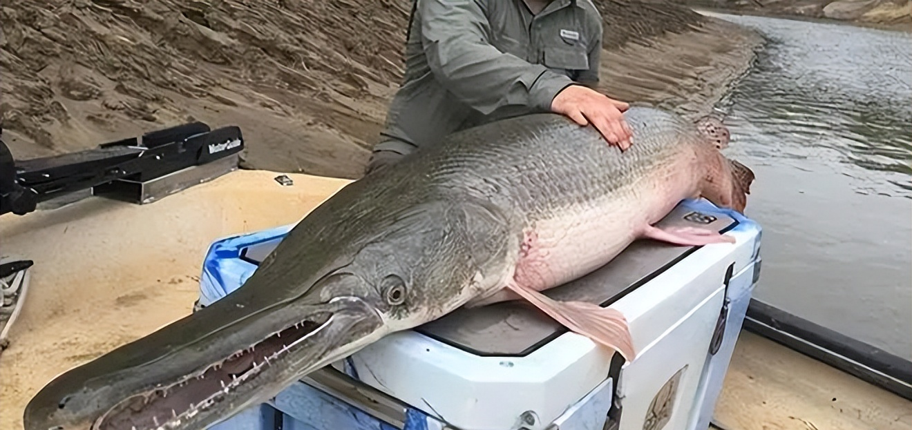 丕指定賲賱氐赗乇爻賰爻胤賷夭hd